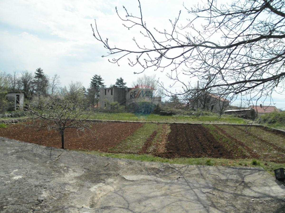 SRDOČI
