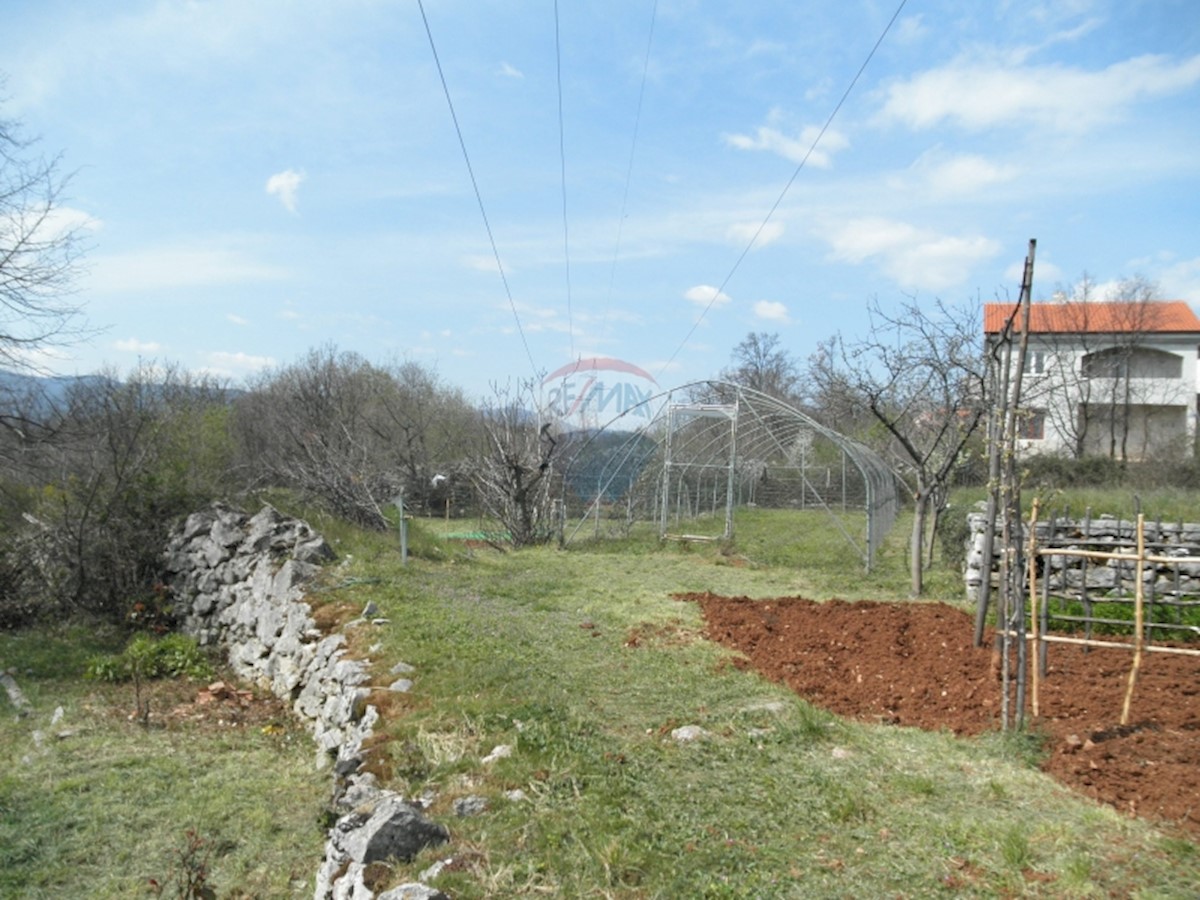 SRDOČI