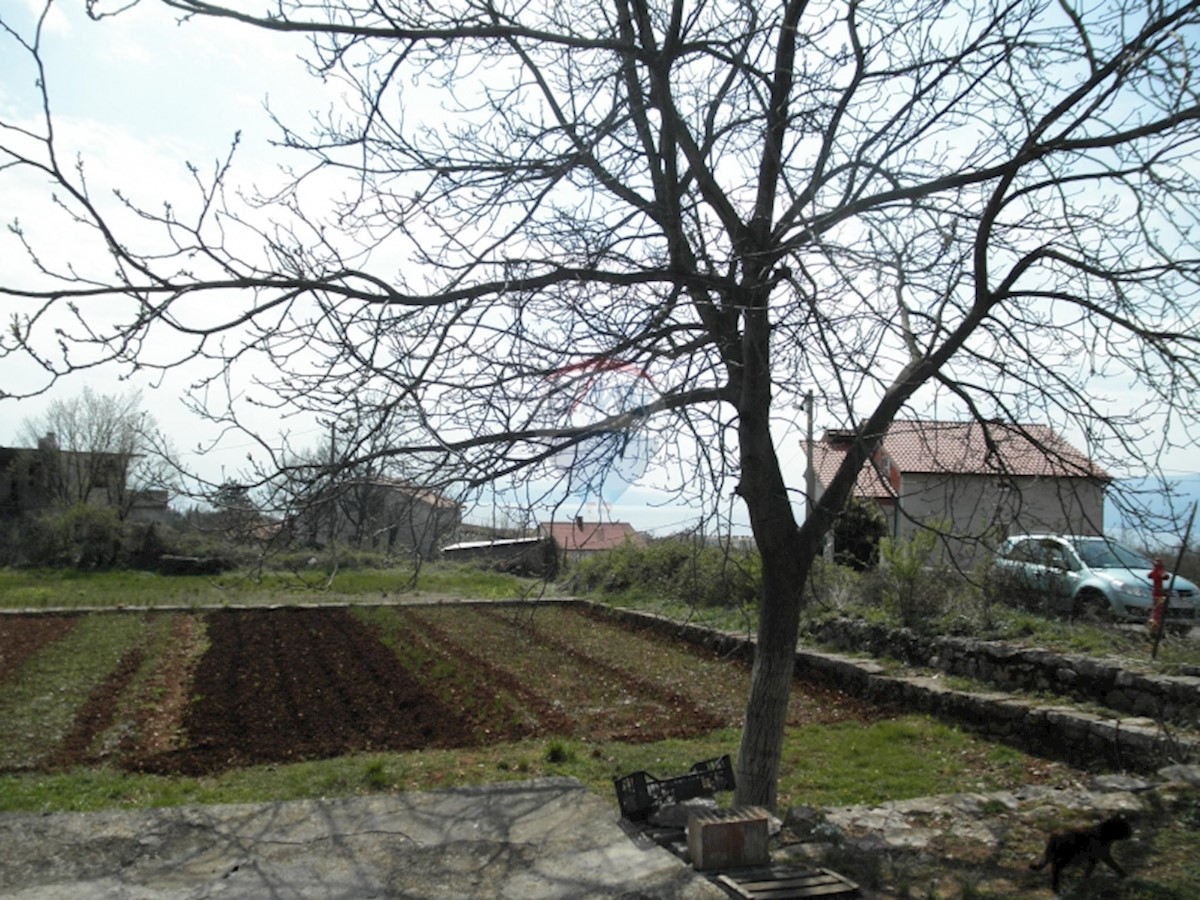 SRDOČI