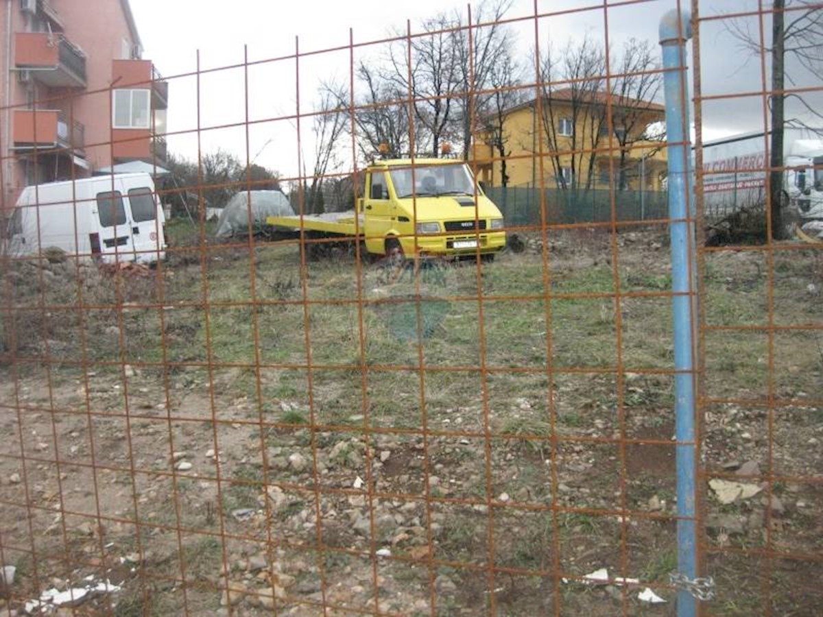 MARČELJI