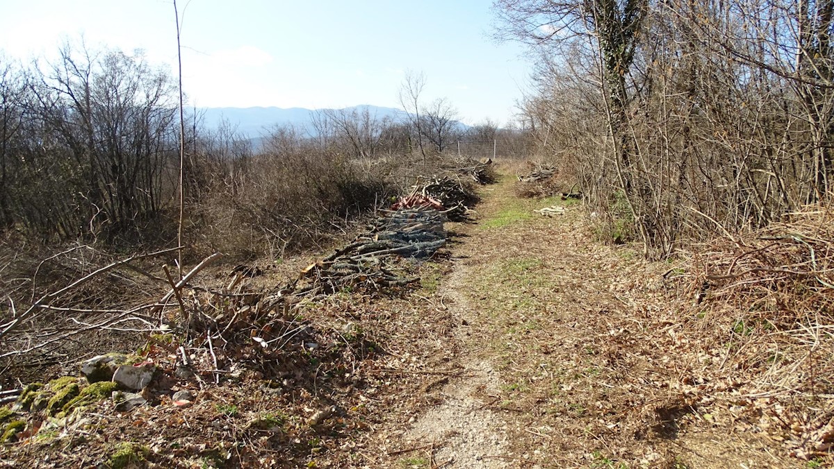 VIŠKOVO