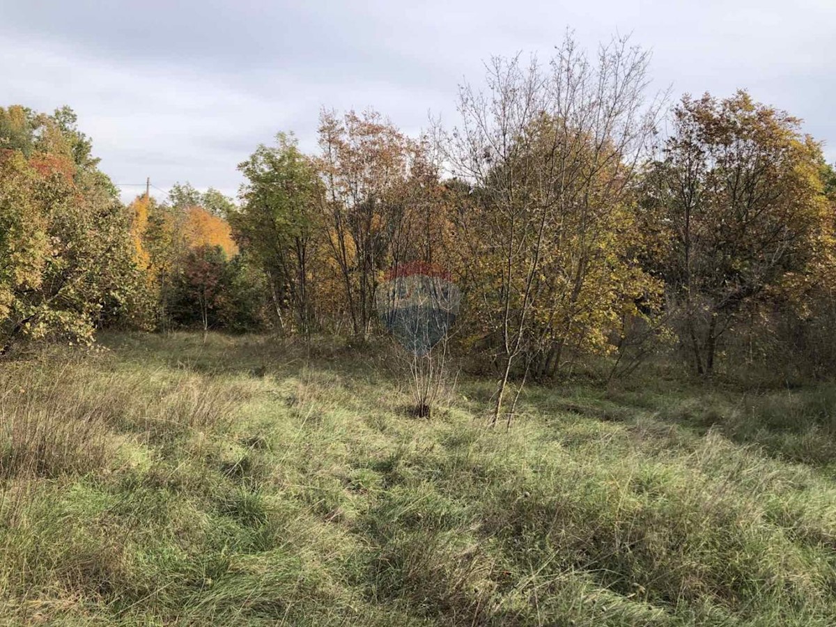 RAKALJ