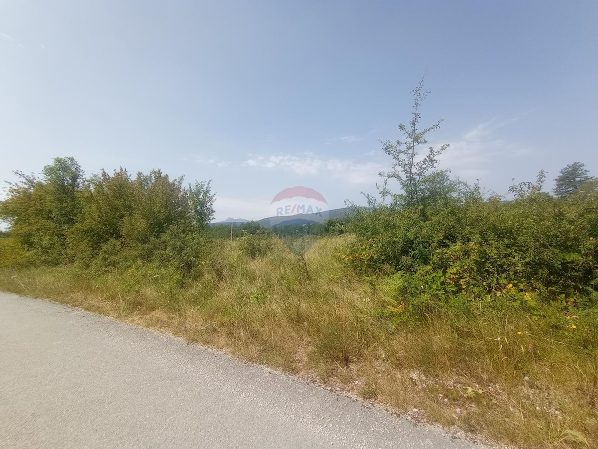 DUGA GORA