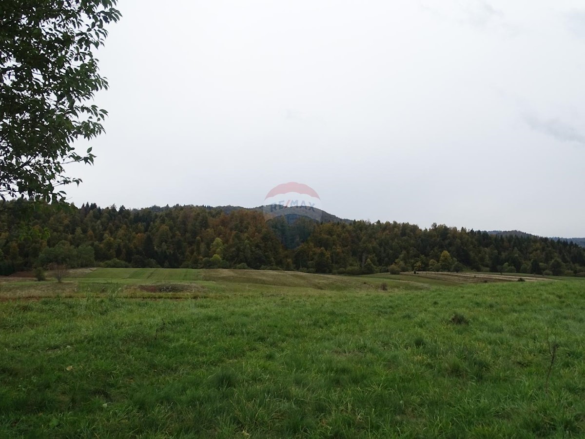 VRATA