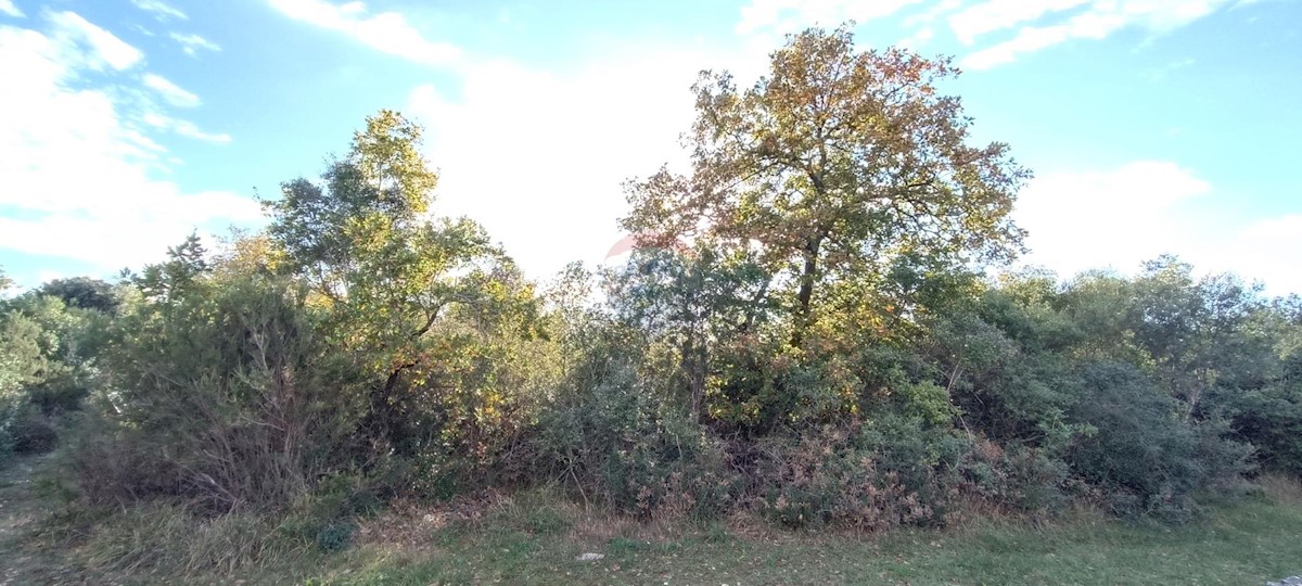 VODNJAN