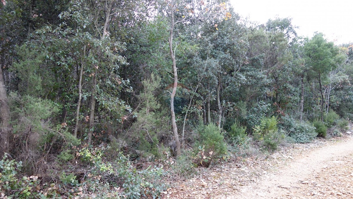 PERUŠKI