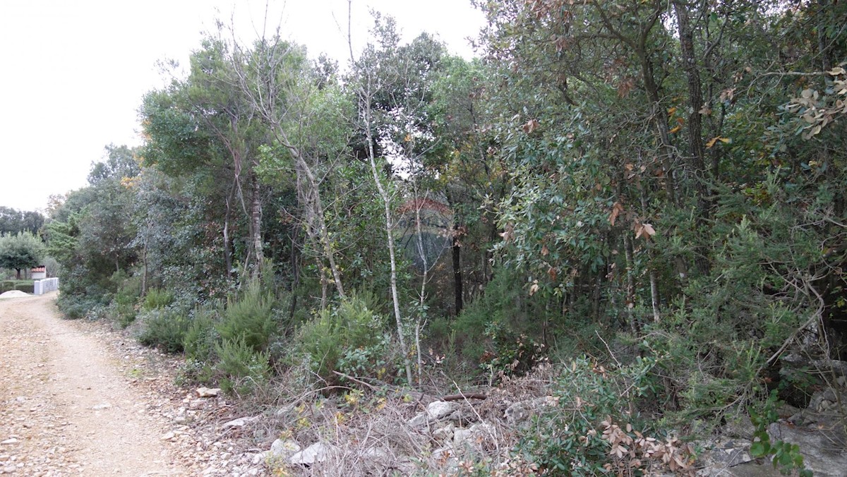 PERUŠKI