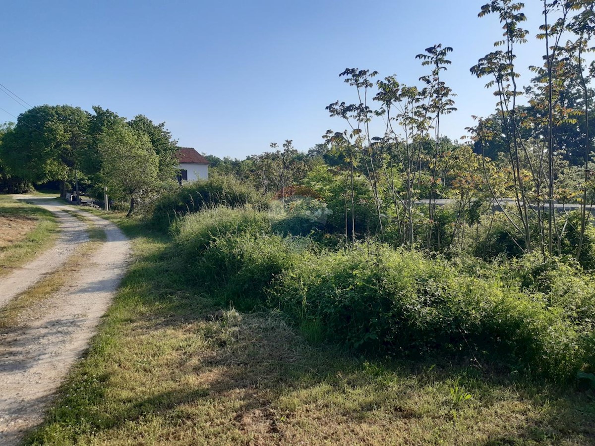 SVETI PETAR U ŠUMI