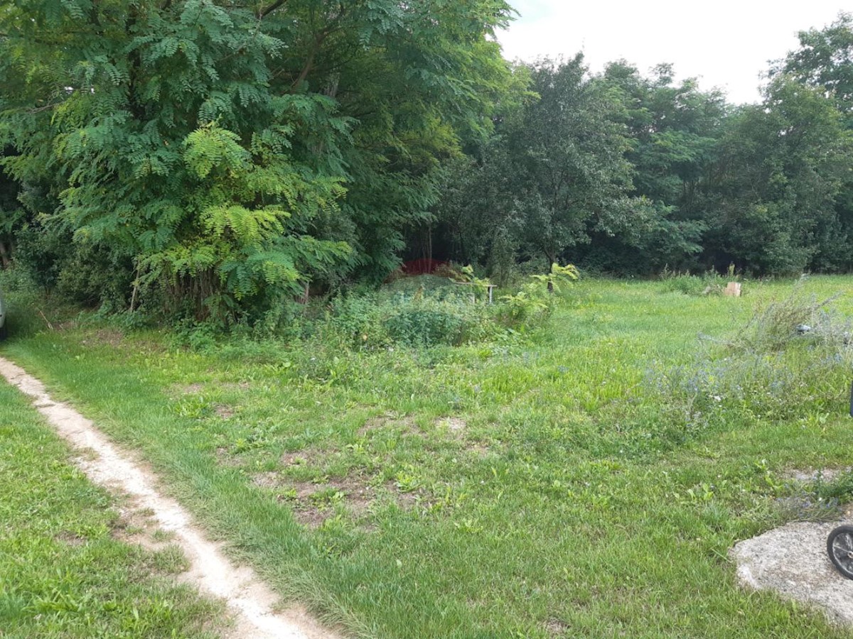 ŽMINJ