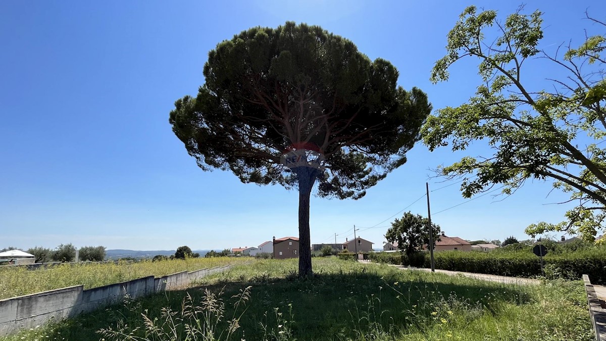 KAŠTELIR