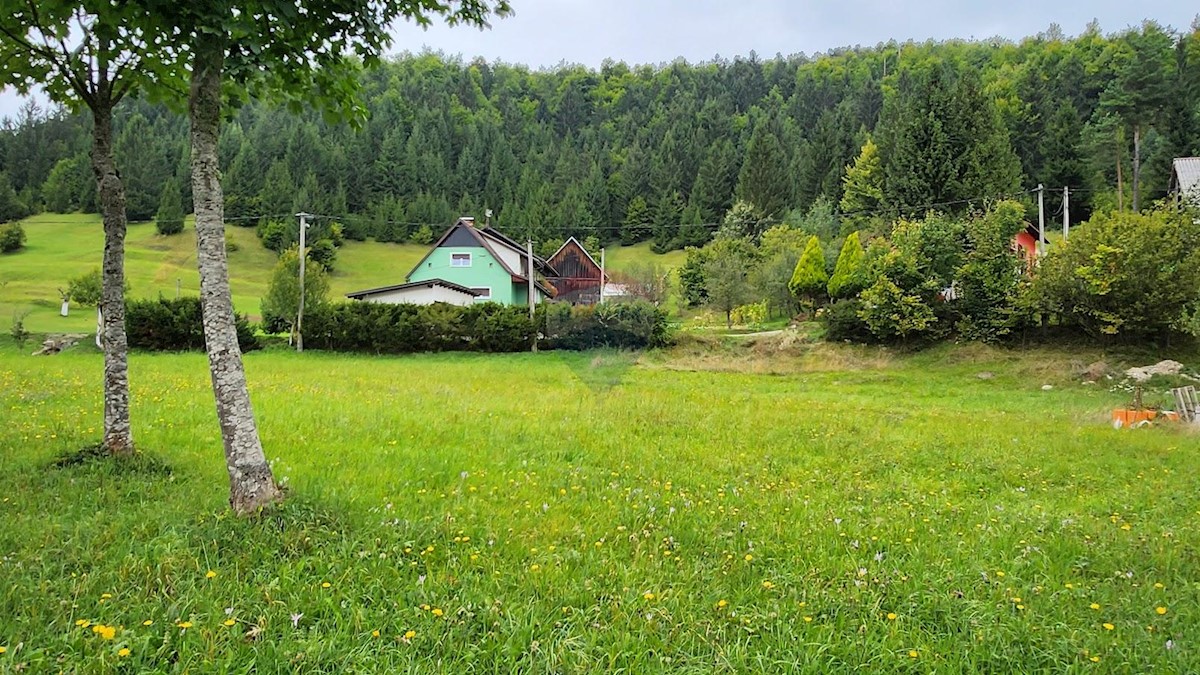 TRŠĆE
