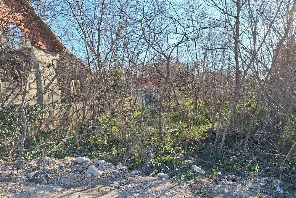 ZEMUNIK DONJI