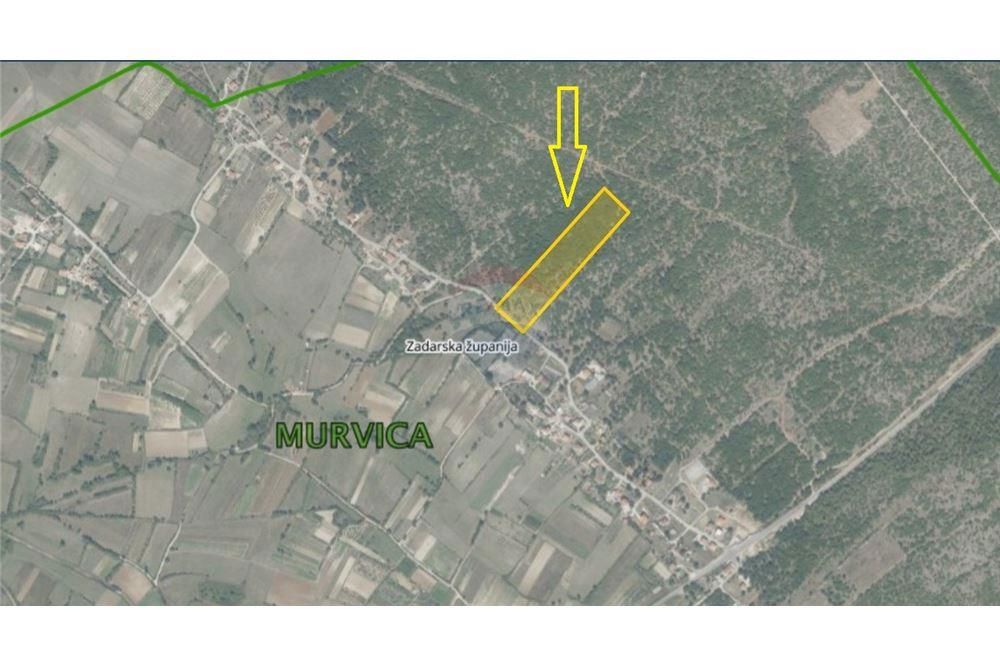 MURVICA