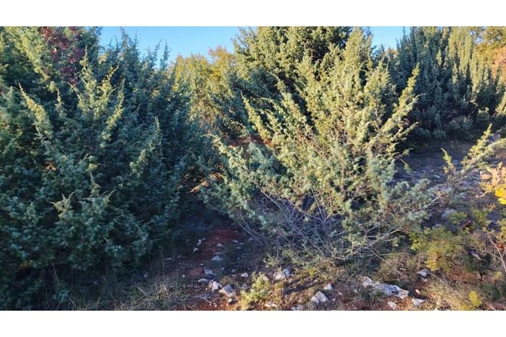 Terreno POLIČNIK, 62.000 €