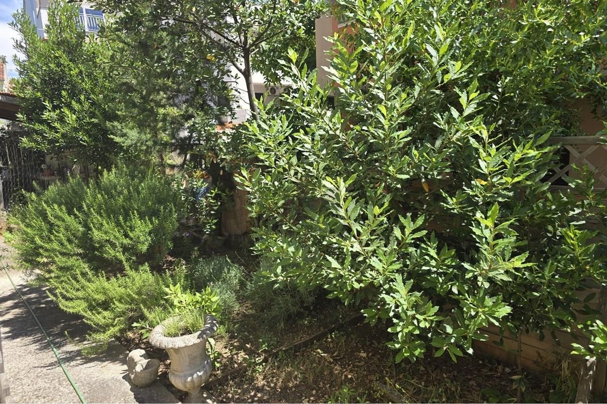 image 31