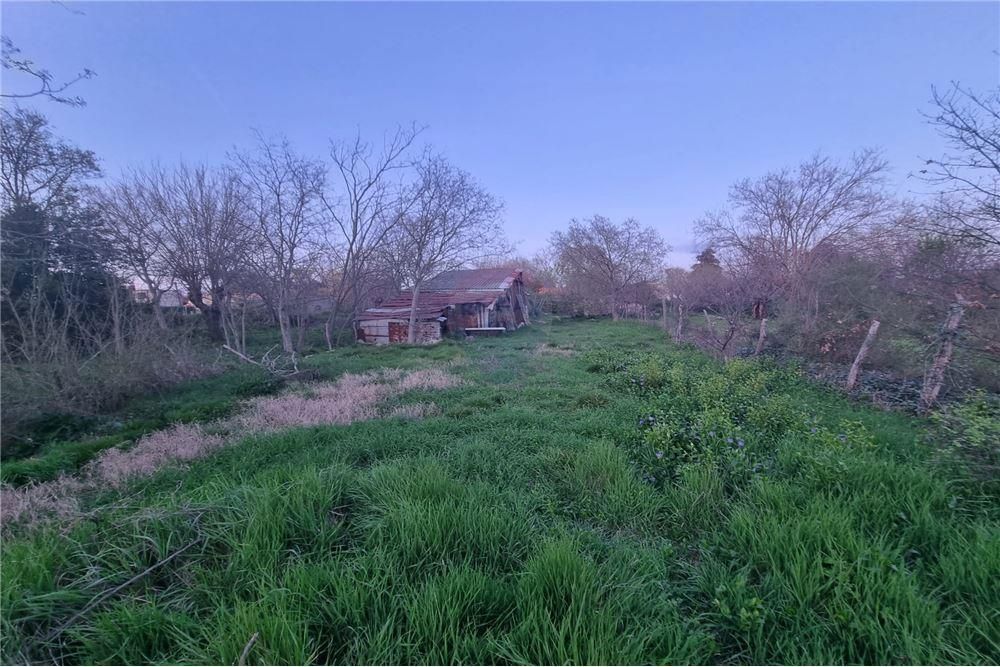 ZEMUNIK DONJI