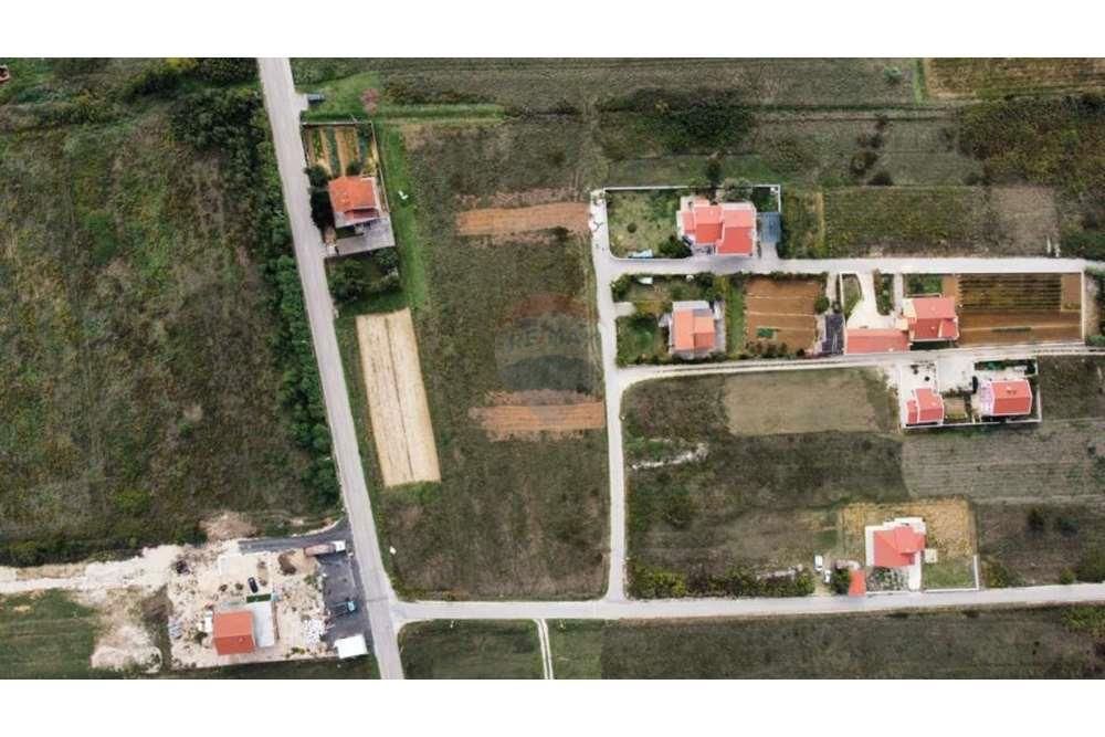 ZATON