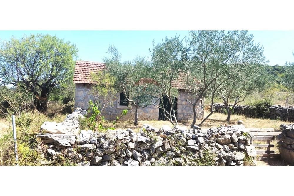 DONJA JAGODNJA