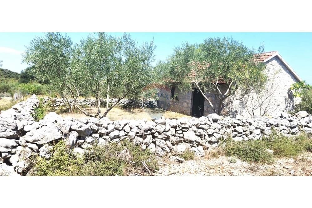 DONJA JAGODNJA