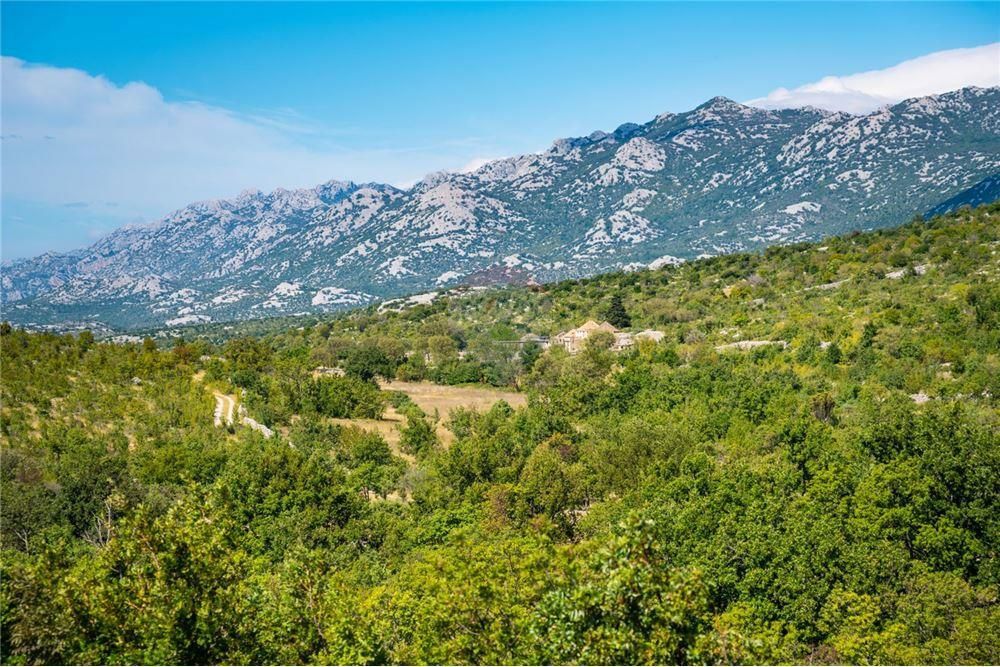 JASENICE