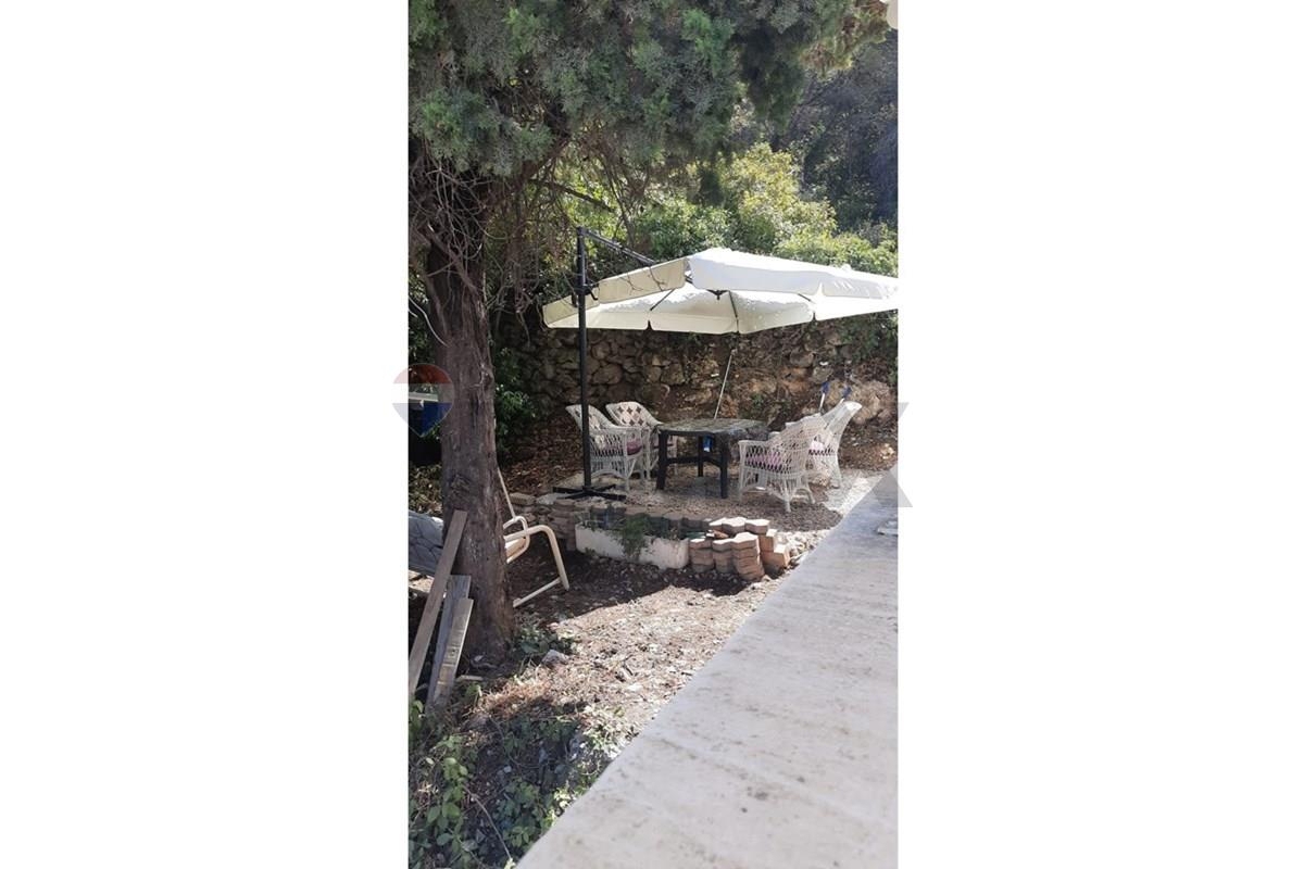 image 31