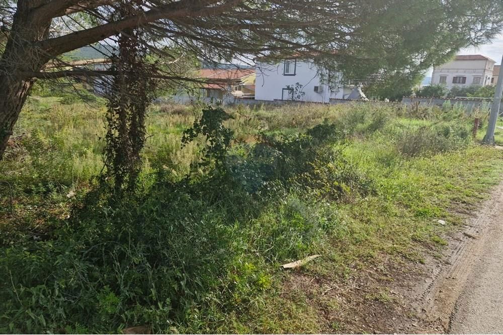 BIBINJE