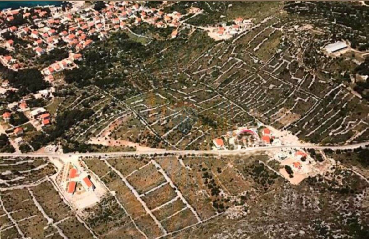 BRODARICA