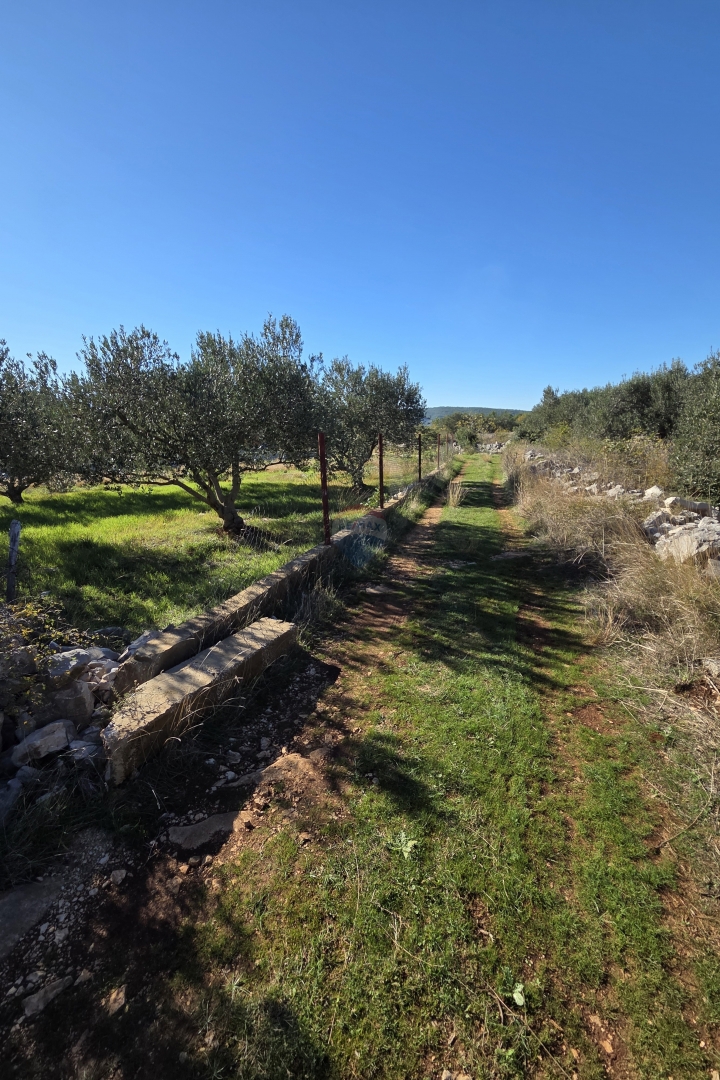 DUBRAVA KOD ŠIBENIKA