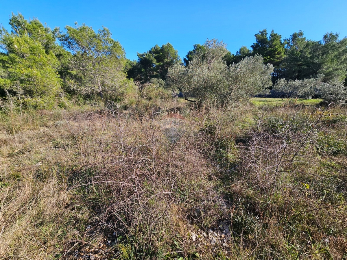 ZABLAĆE