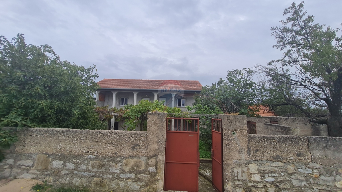 BIĆINE