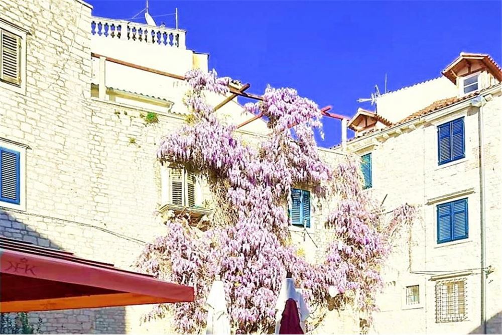 ŠIBENIK