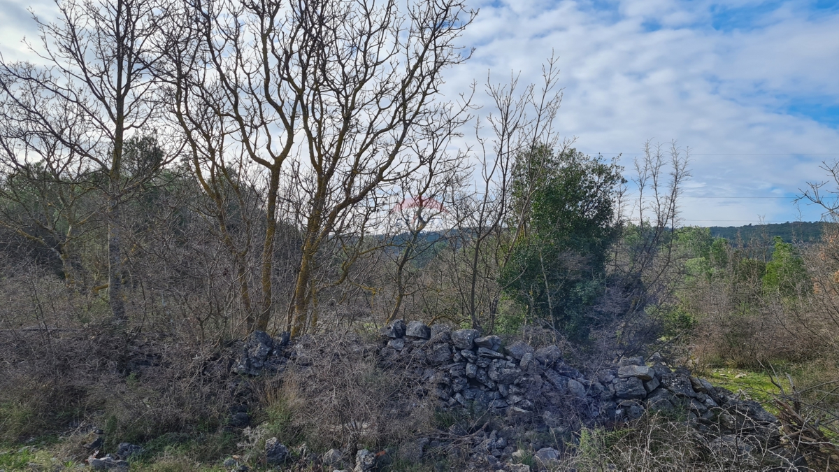 DUBRAVA KOD ŠIBENIKA