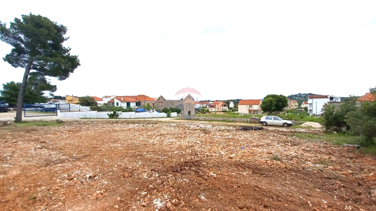 TRIBUNJ