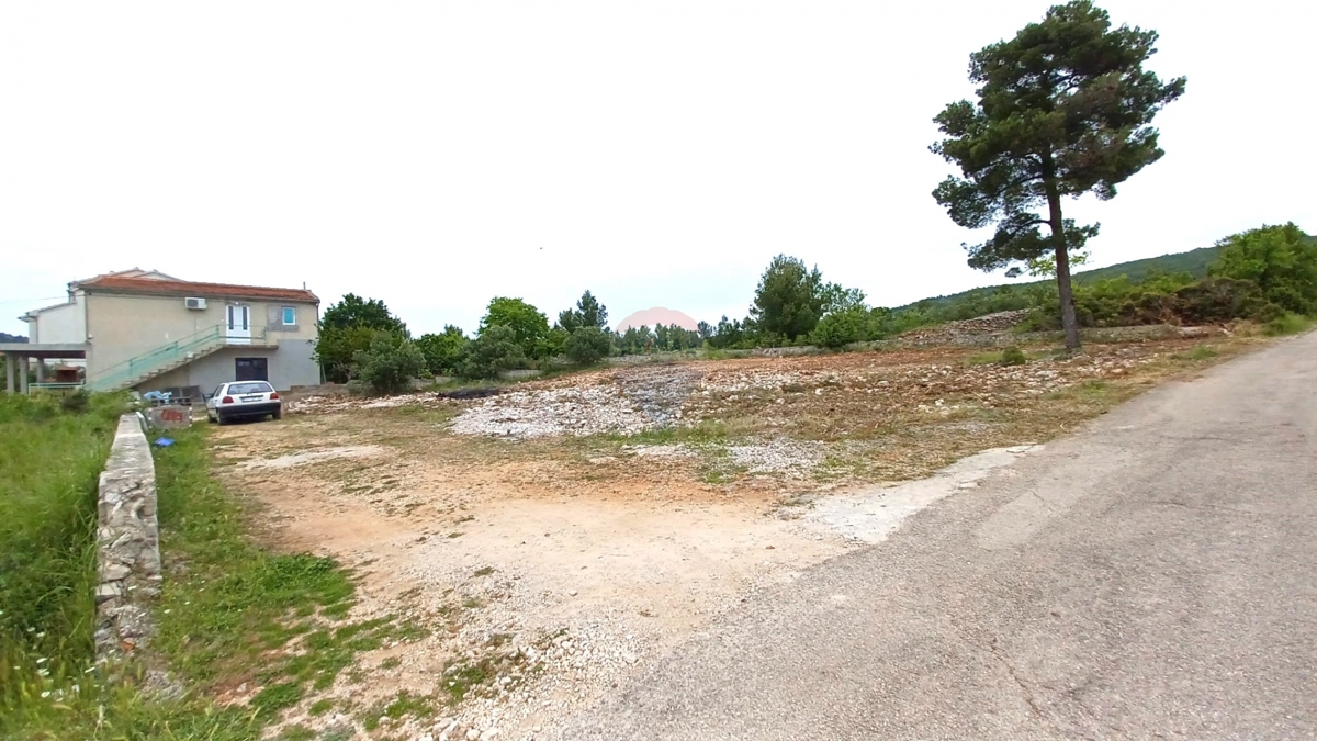 TRIBUNJ