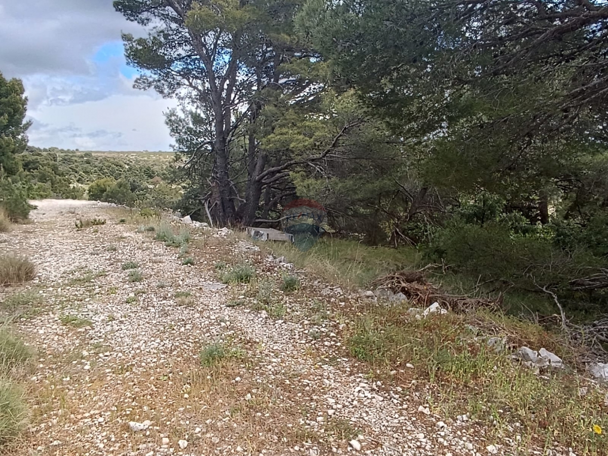 PRIMOŠTEN
