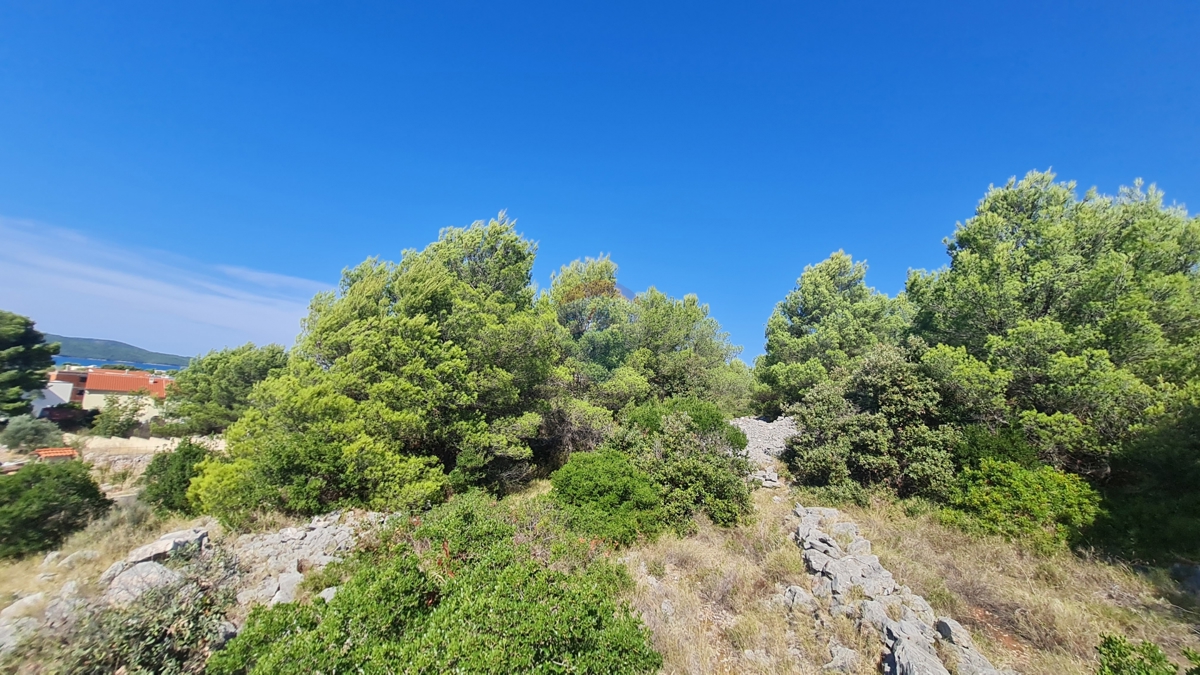 BRODARICA