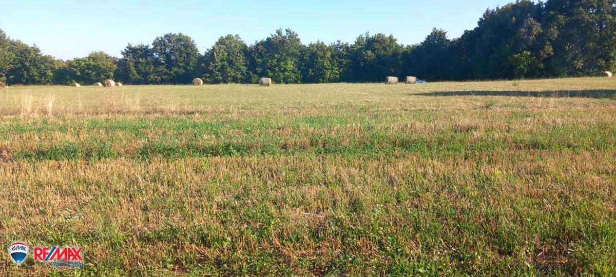 Участок SVETVINČENAT, 68.000 €