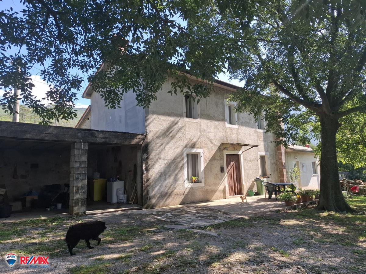 ŠUŠNJEVICA