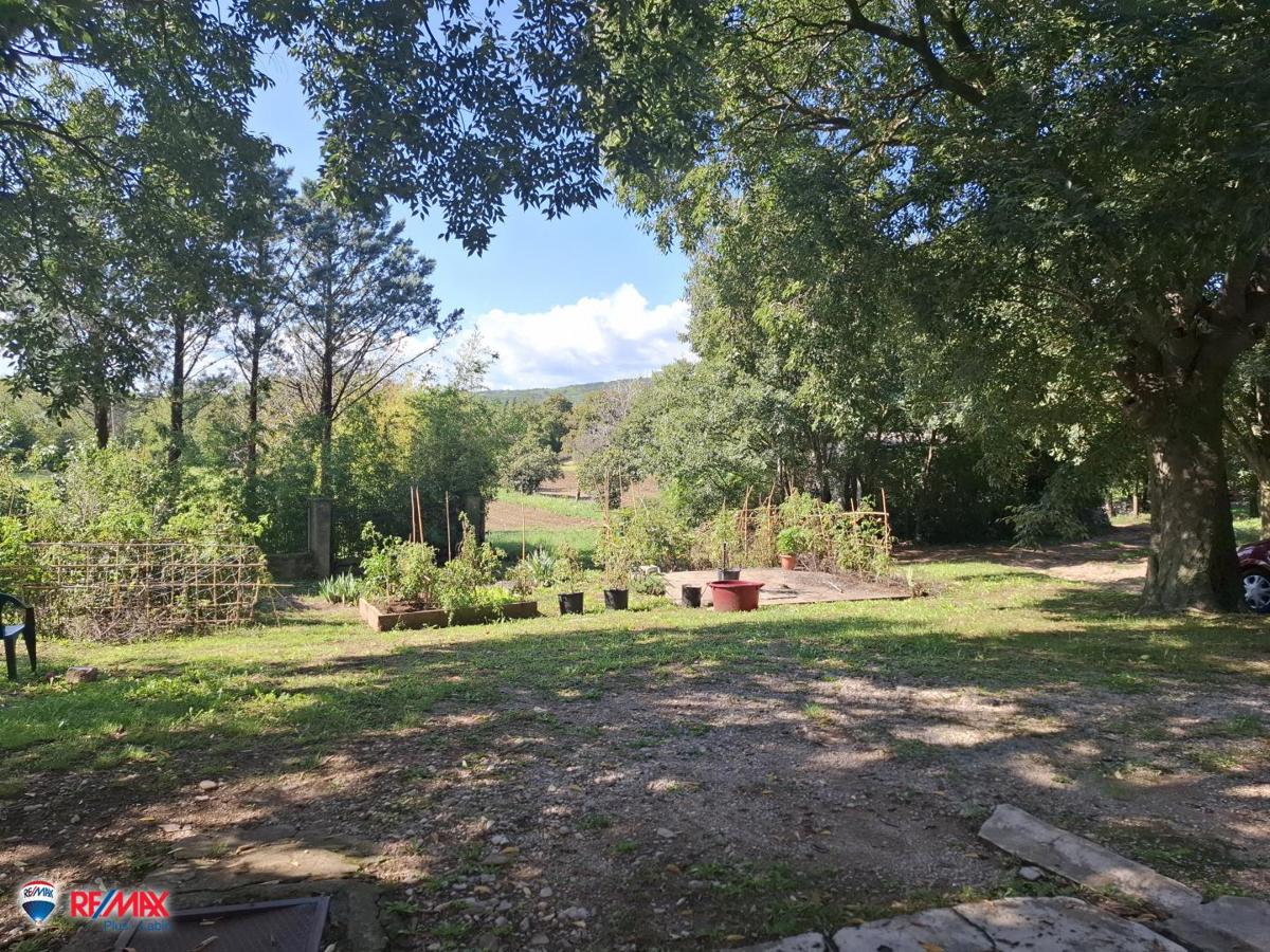 ŠUŠNJEVICA