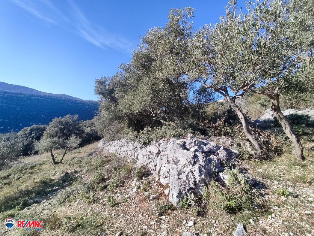DUGA LUKA