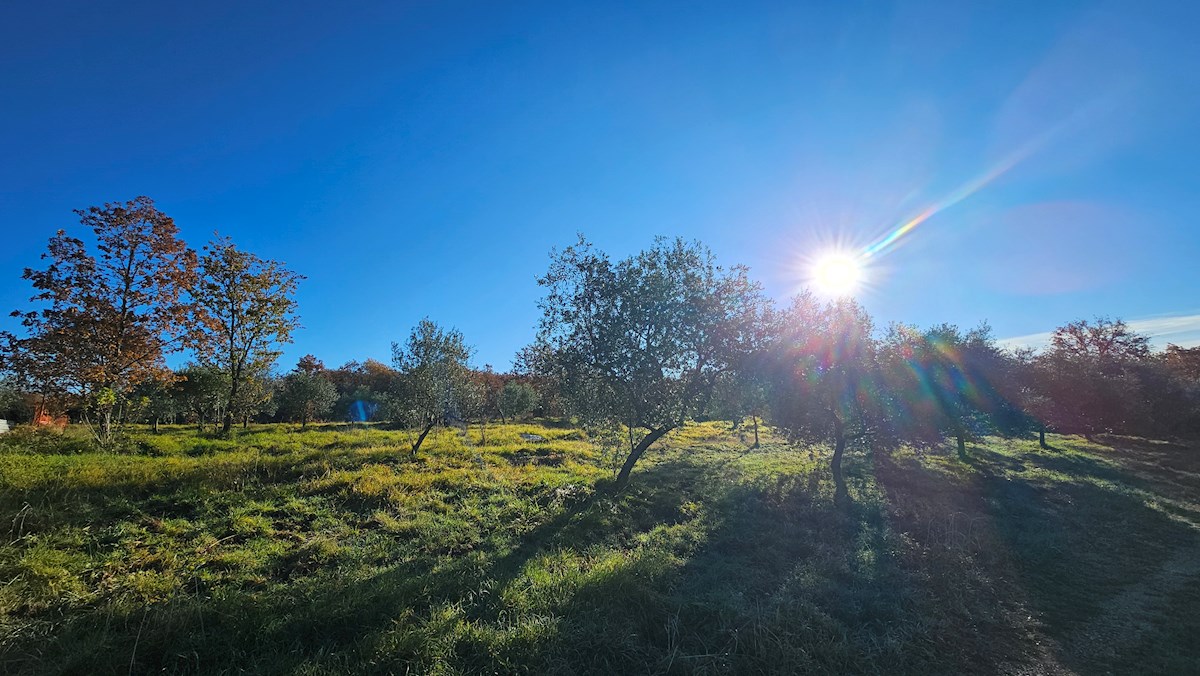 Terreno BUJE, 205.600 €