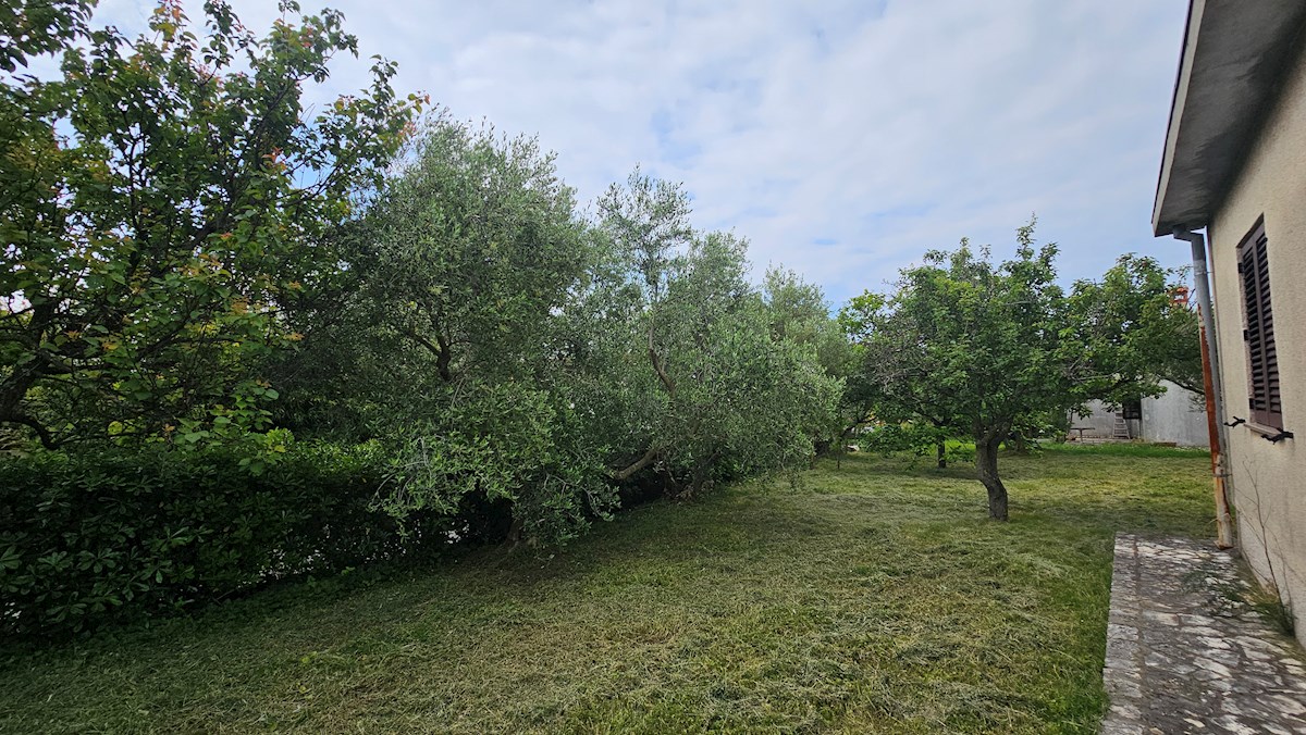 BUJE