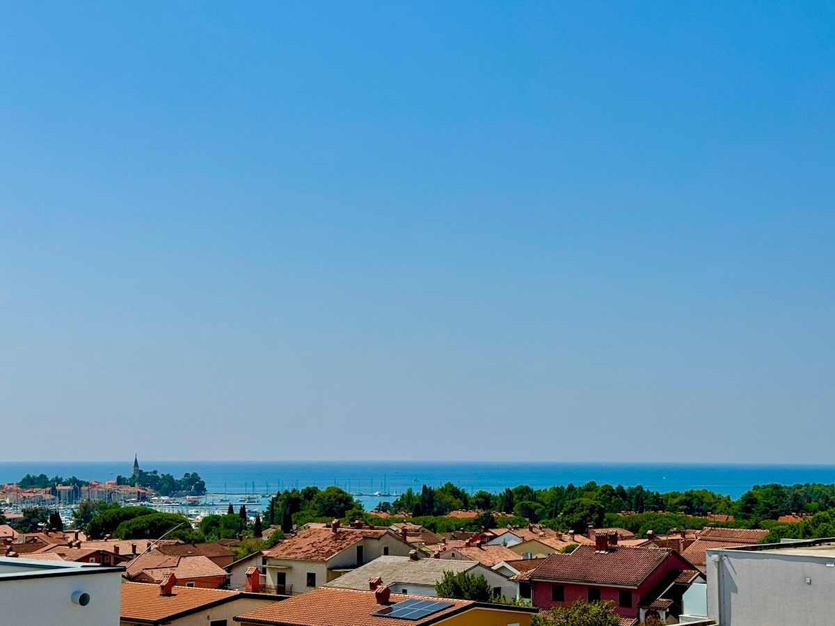 NOVIGRAD
