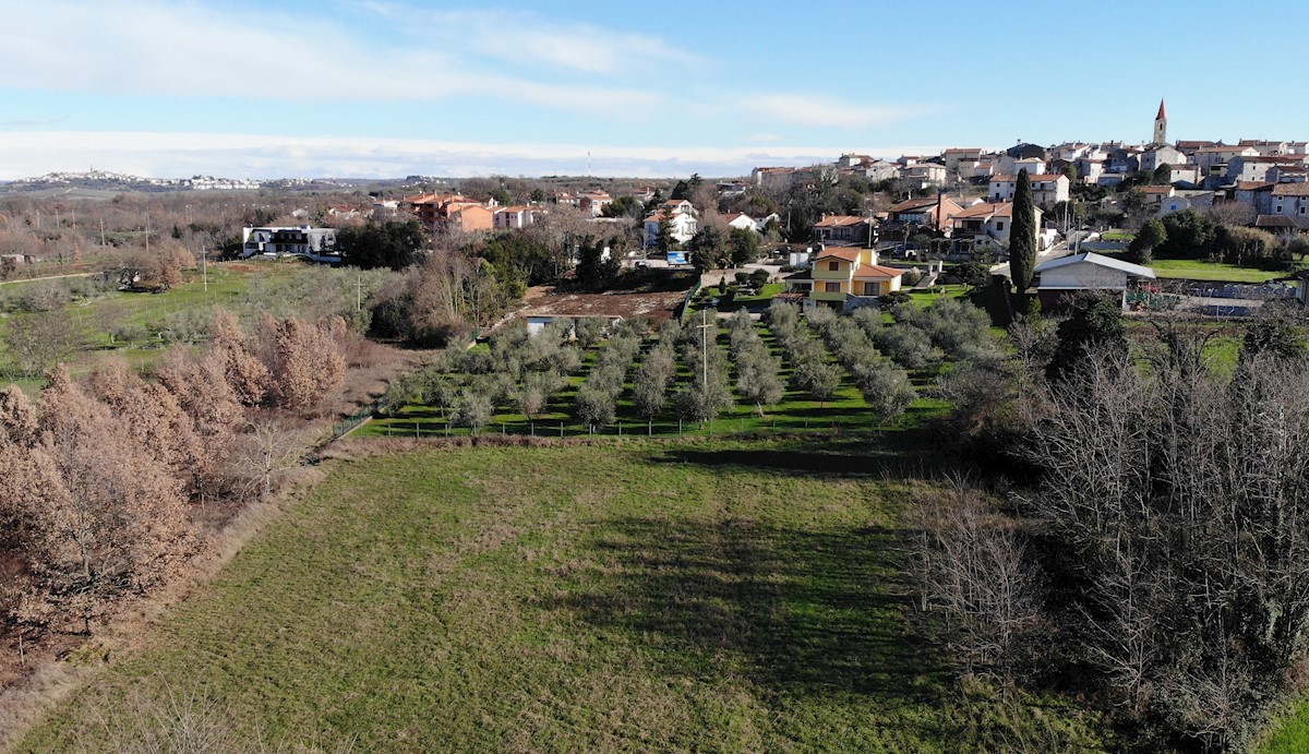 BRTONIGLA