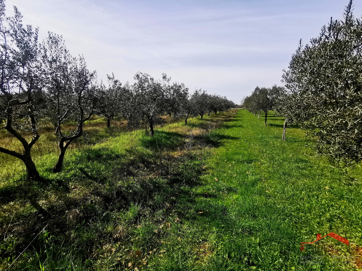 Terreno VODNJAN, 39.000 €