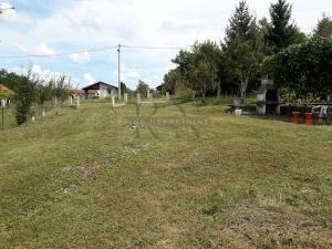 KUPINEČKI KRALJEVEC