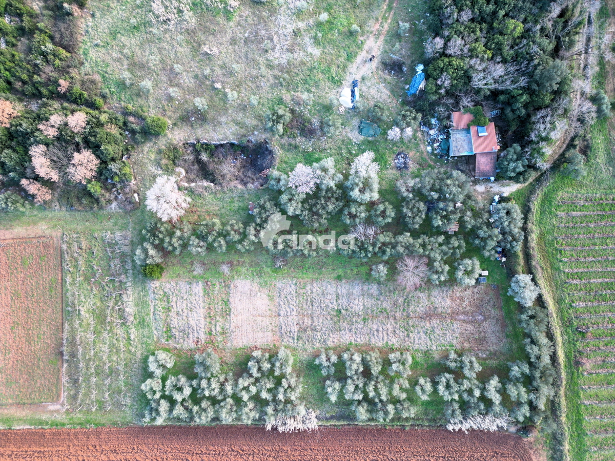image 14