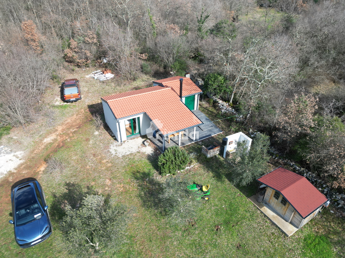 image 21