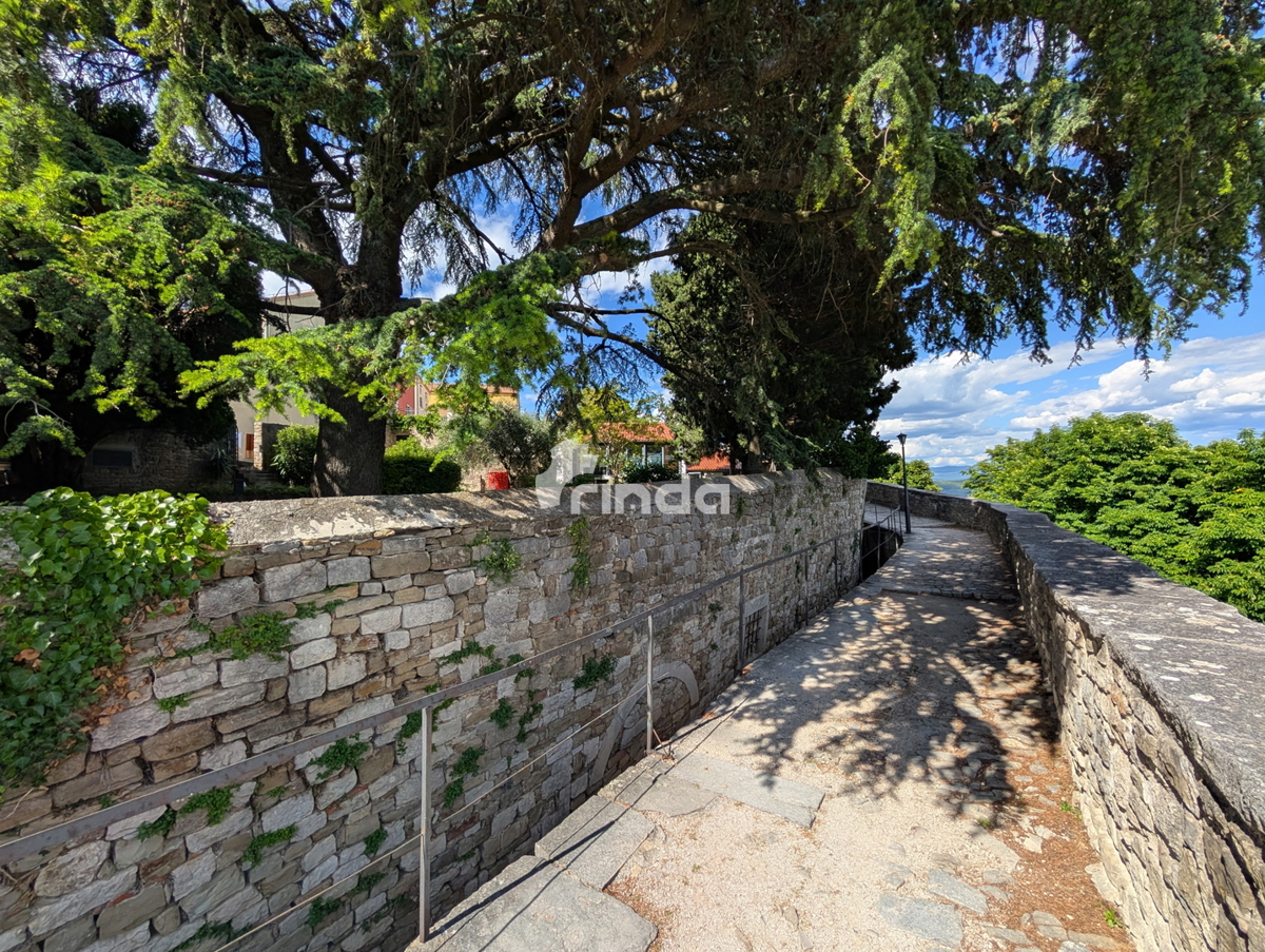 image 43