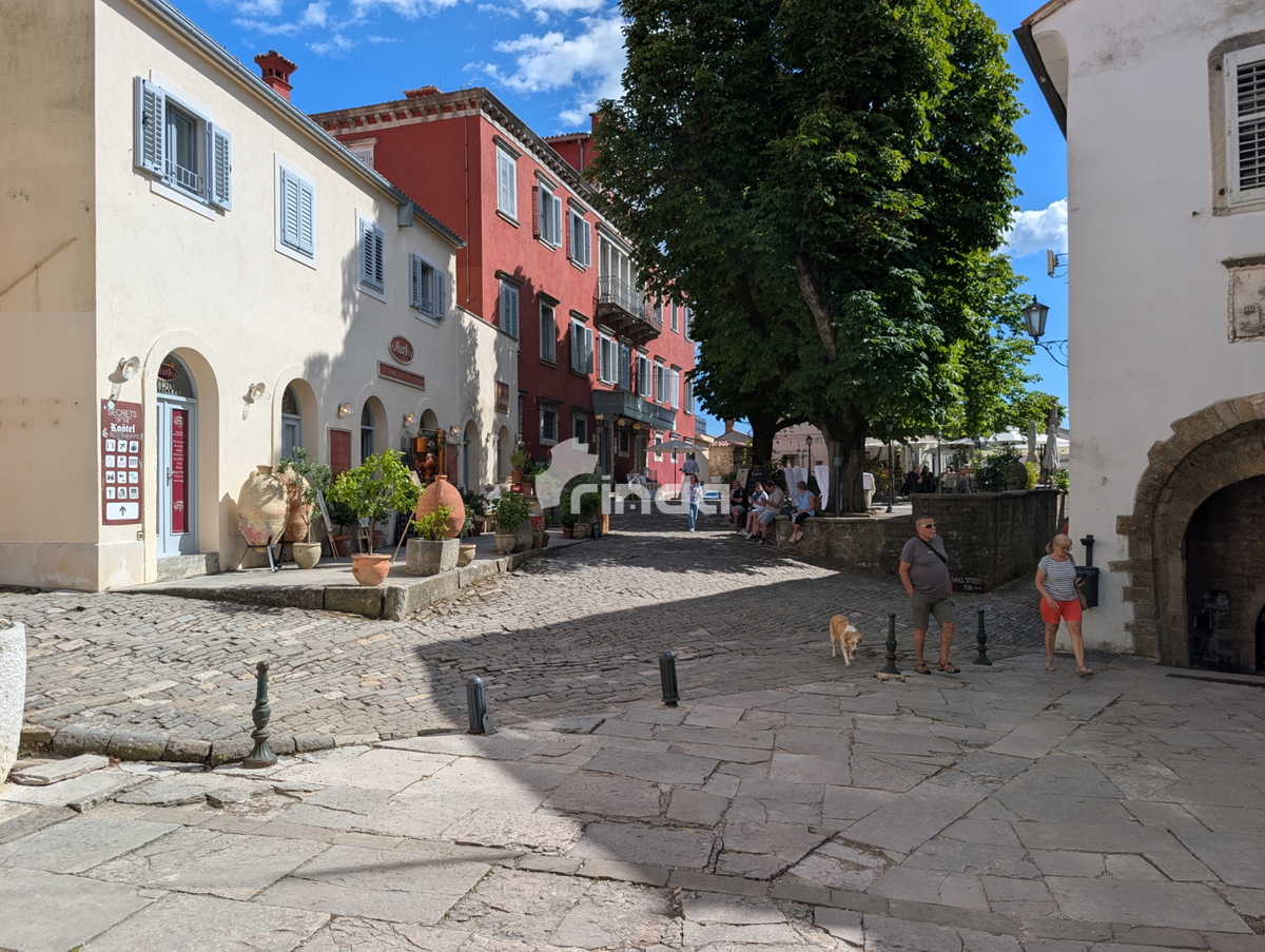 image 48